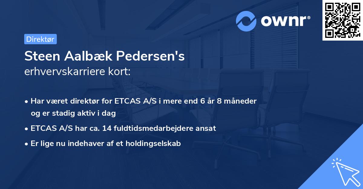 Steen Aalbæk Pedersen's erhvervskarriere kort
