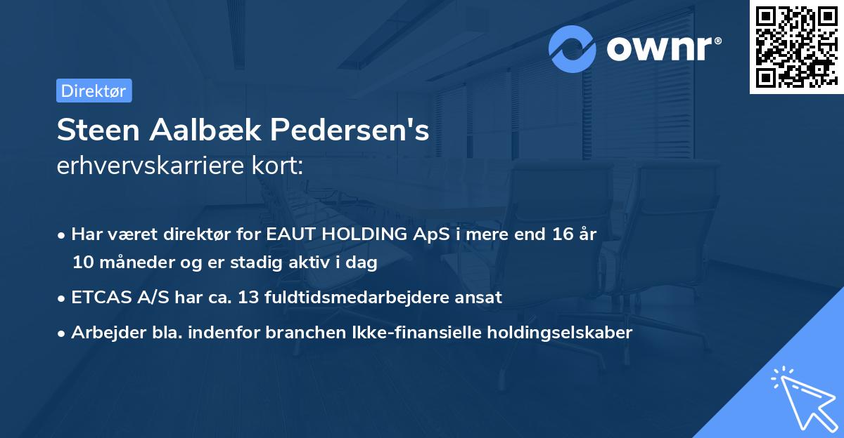 Steen Aalbæk Pedersen's erhvervskarriere kort