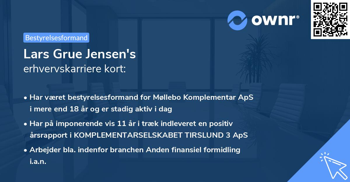 Lars Grue Jensen's erhvervskarriere kort
