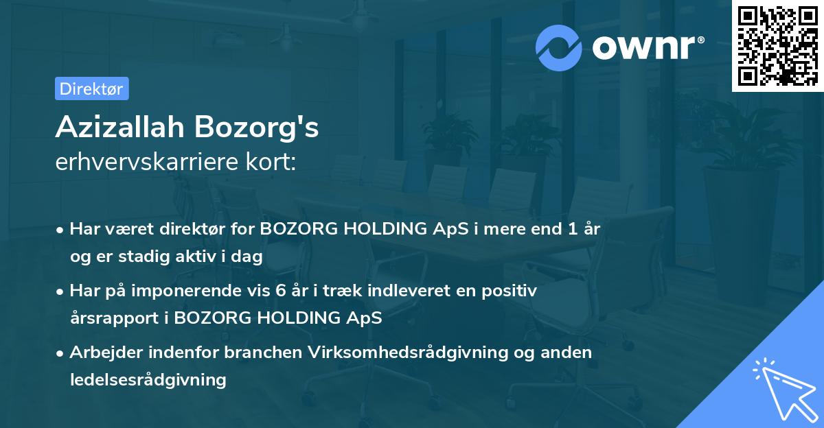 Azizallah Bozorg's erhvervskarriere kort