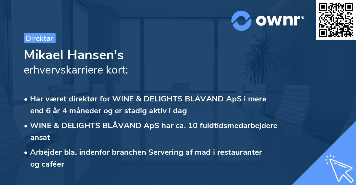 Mikael Hansen's erhvervskarriere kort