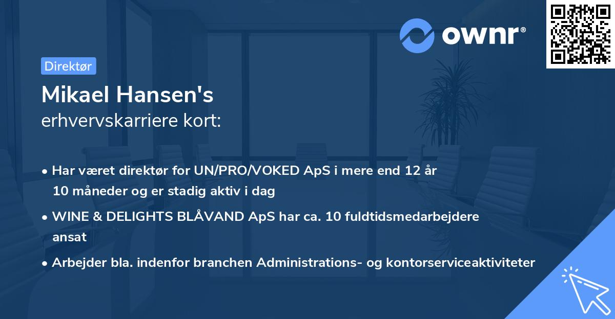 Mikael Hansen's erhvervskarriere kort