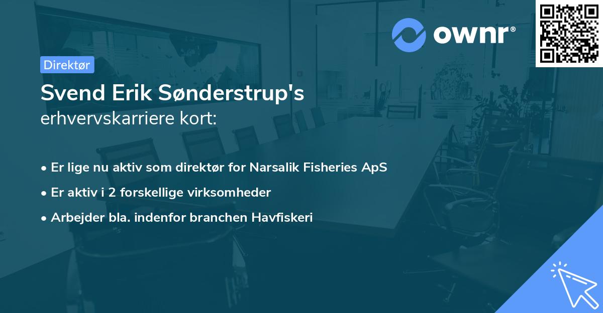 Svend Erik Sønderstrup's erhvervskarriere kort