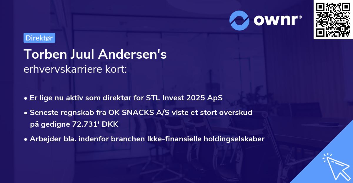 Torben Juul Andersen's erhvervskarriere kort