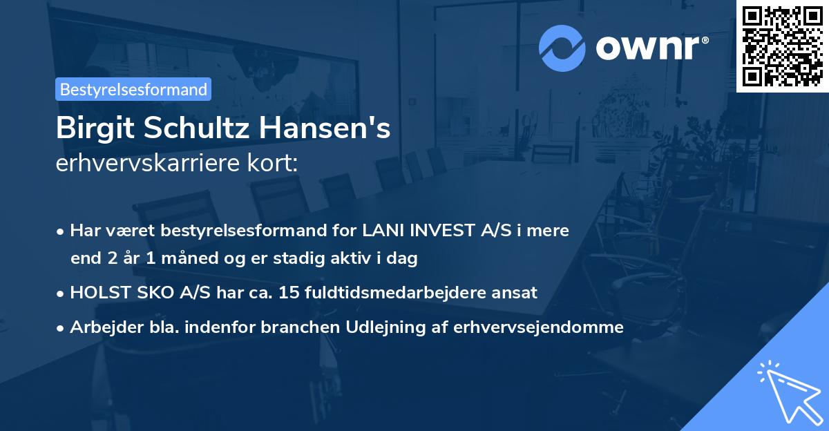 Birgit Schultz Hansen's erhvervskarriere kort