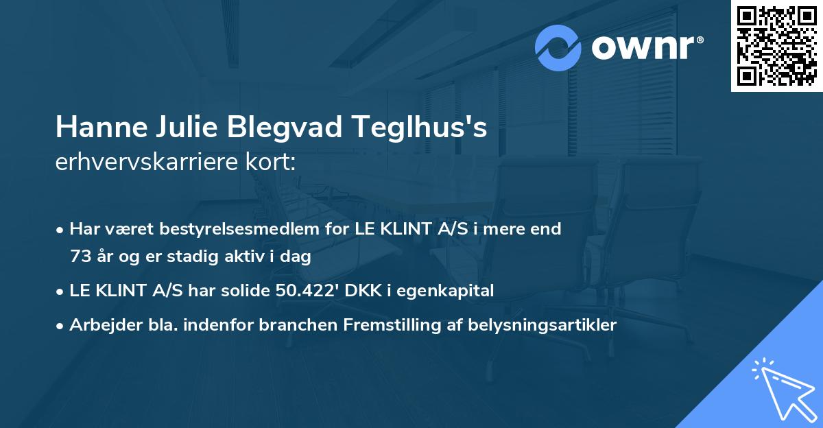 Hanne Julie Blegvad Teglhus's erhvervskarriere kort