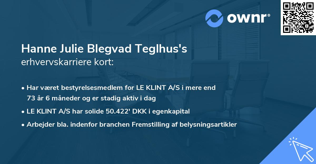 Hanne Julie Blegvad Teglhus's erhvervskarriere kort