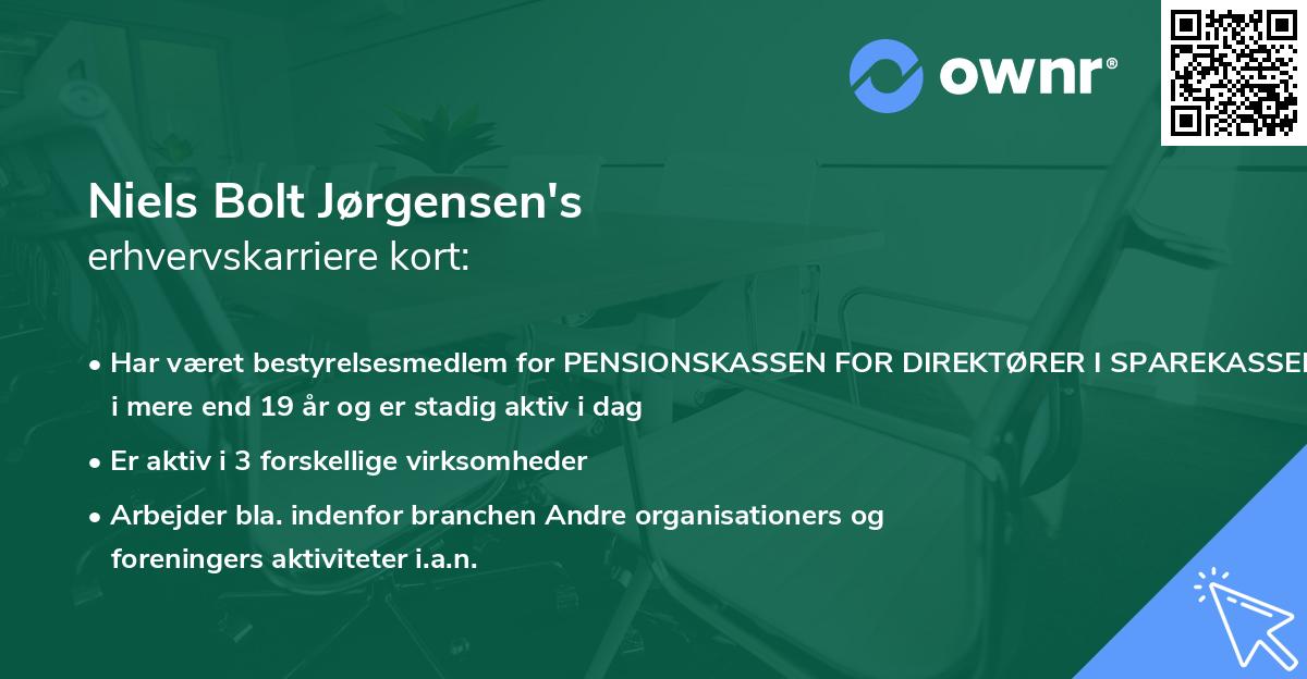 Niels Bolt Jørgensen's erhvervskarriere kort