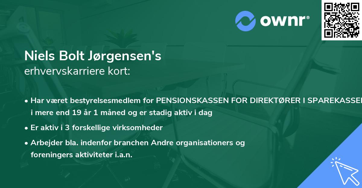 Niels Bolt Jørgensen's erhvervskarriere kort