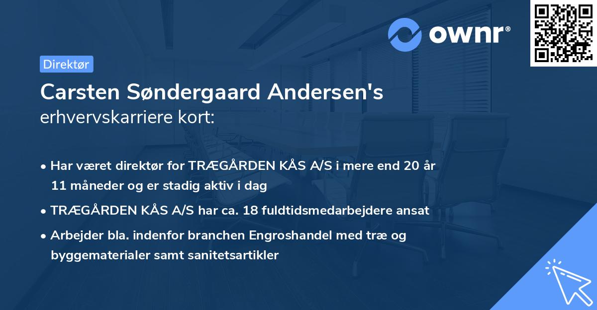 Carsten Søndergaard Andersen's erhvervskarriere kort