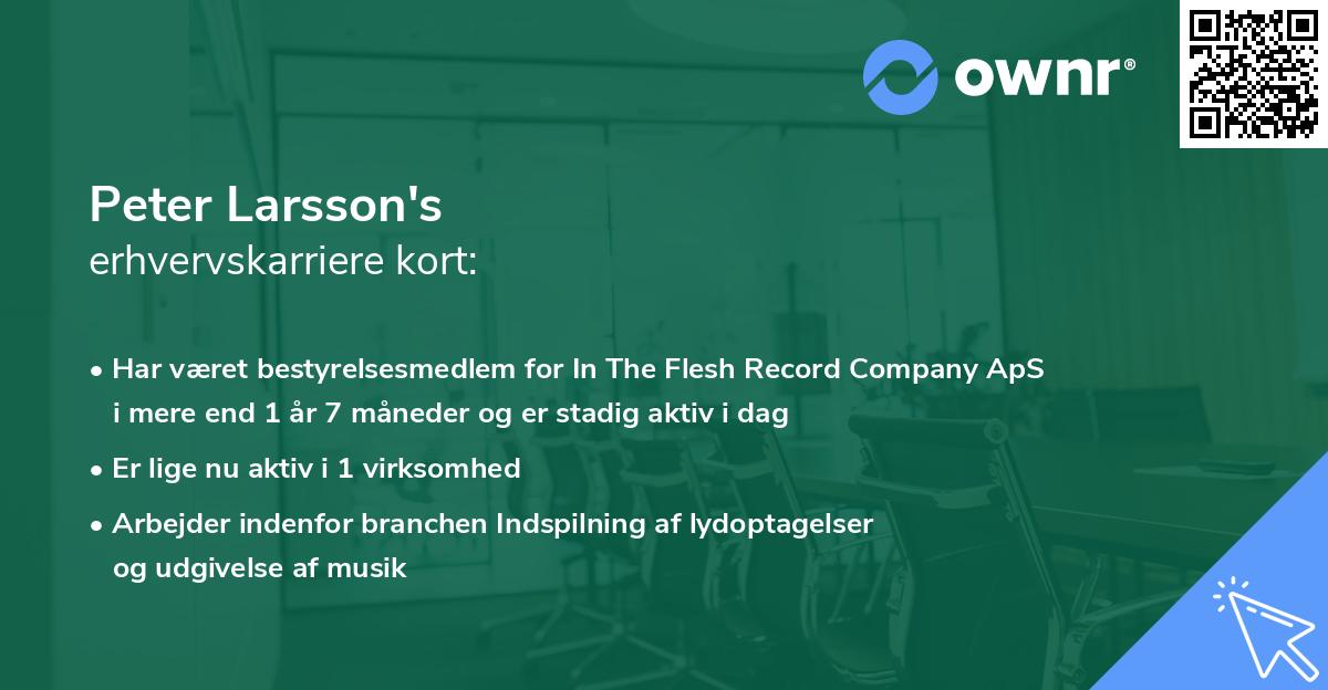 Peter Larsson's erhvervskarriere kort
