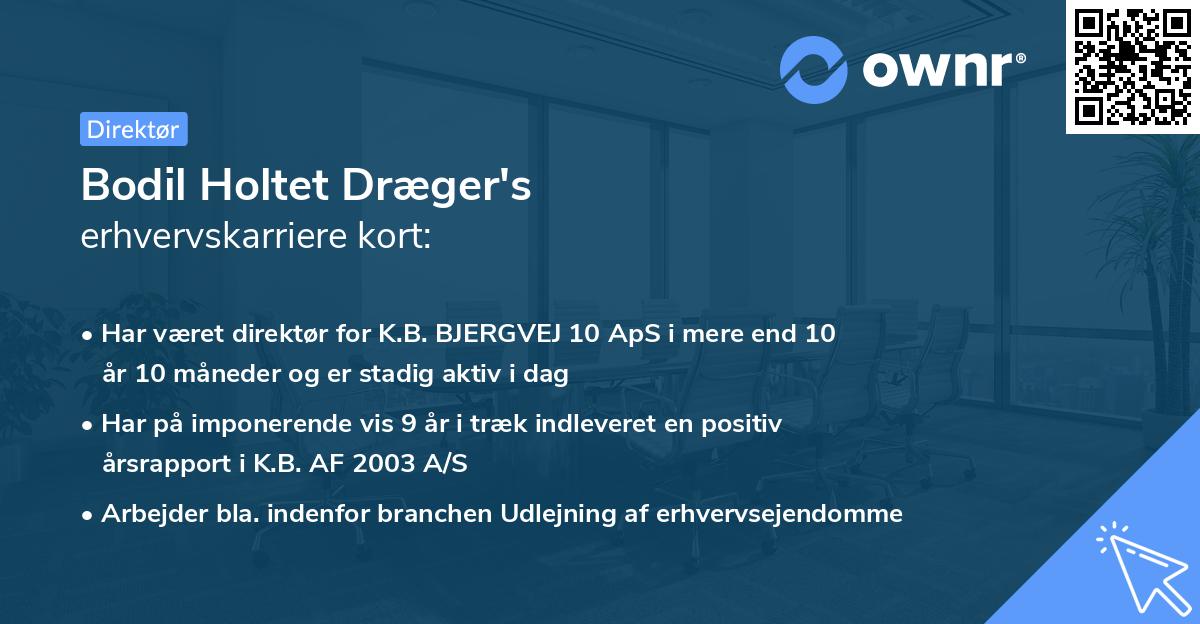 Bodil Holtet Dræger's erhvervskarriere kort