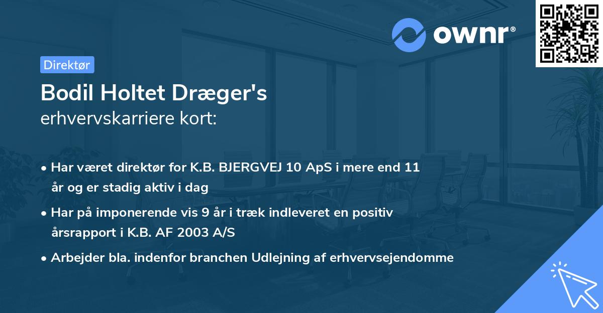 Bodil Holtet Dræger's erhvervskarriere kort