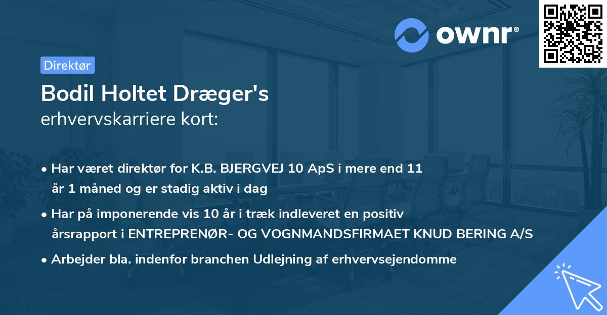 Bodil Holtet Dræger's erhvervskarriere kort