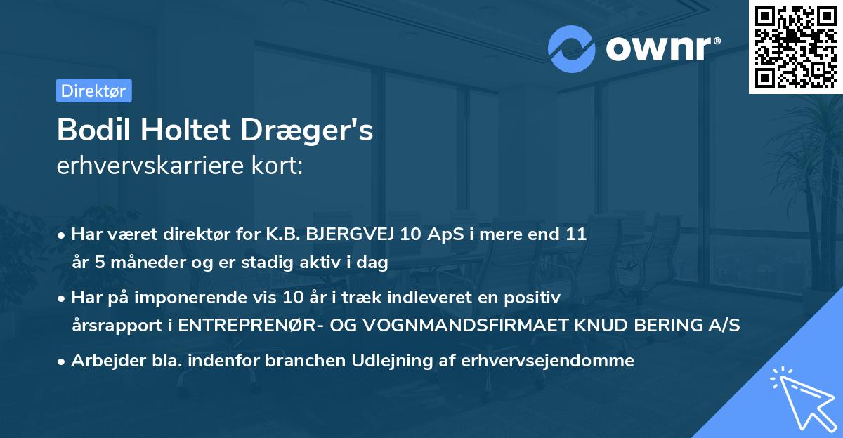 Bodil Holtet Dræger's erhvervskarriere kort