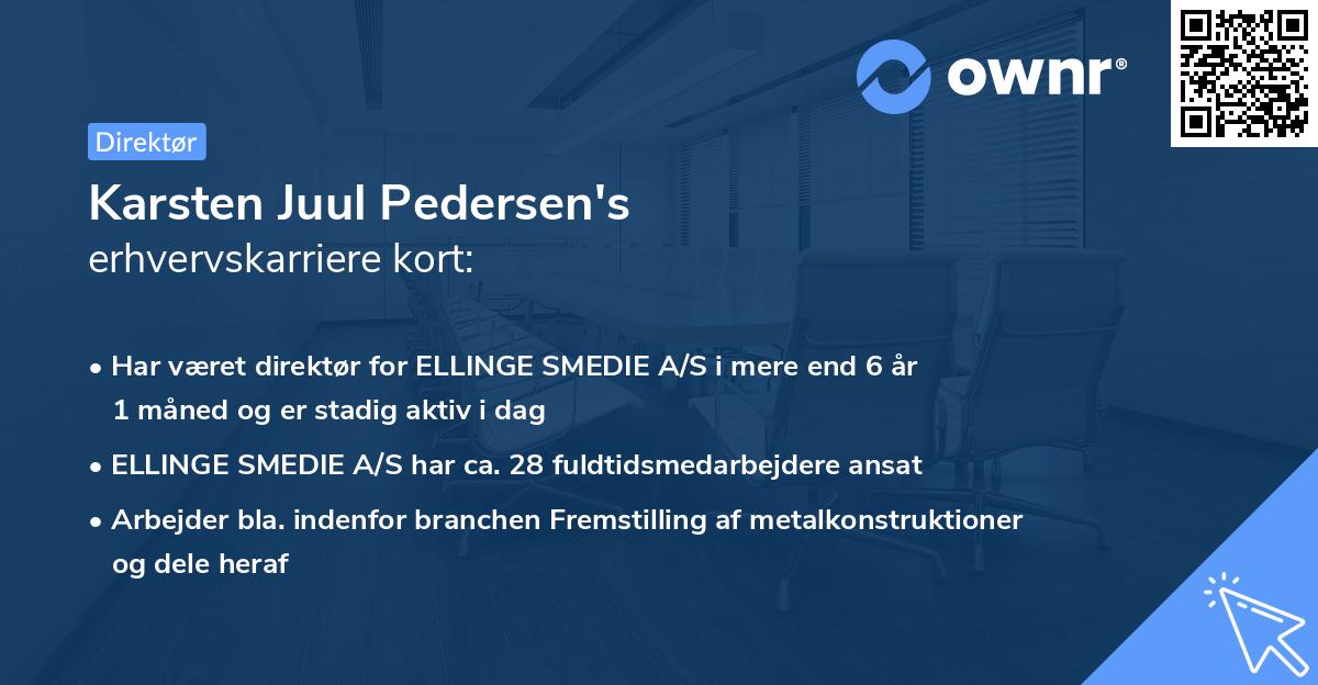 Karsten Juul Pedersen's erhvervskarriere kort