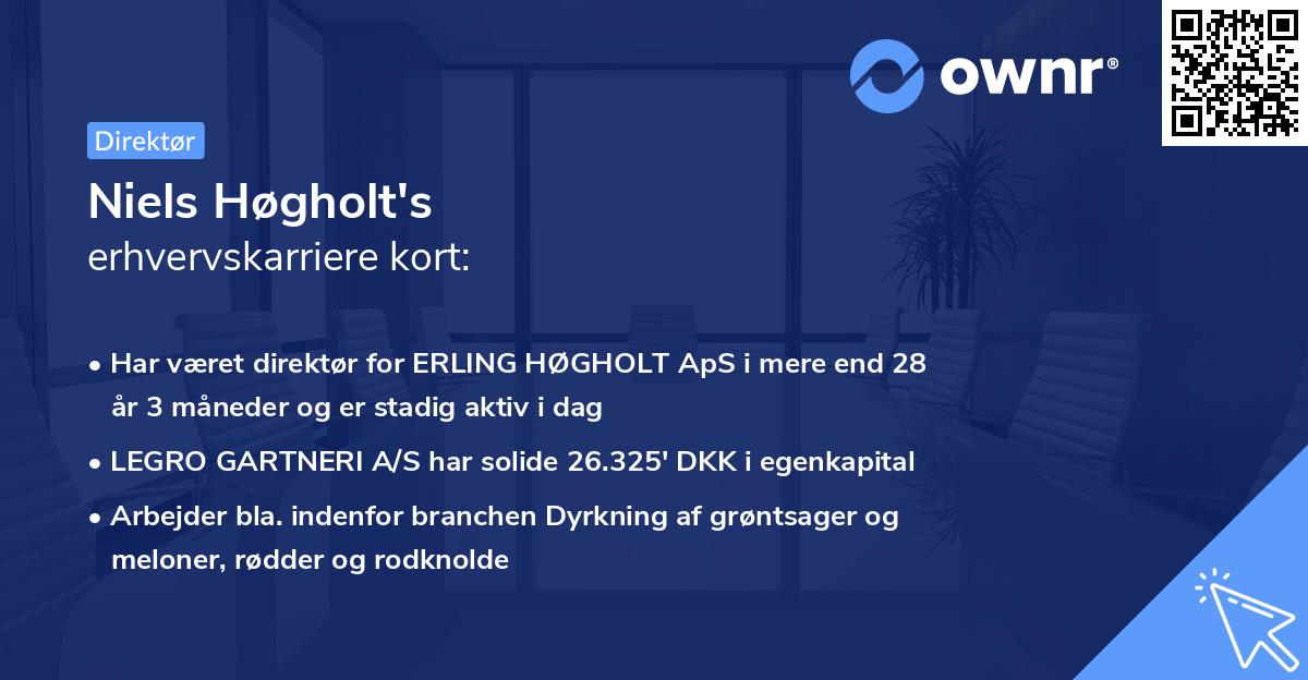 Niels Høgholt's erhvervskarriere kort