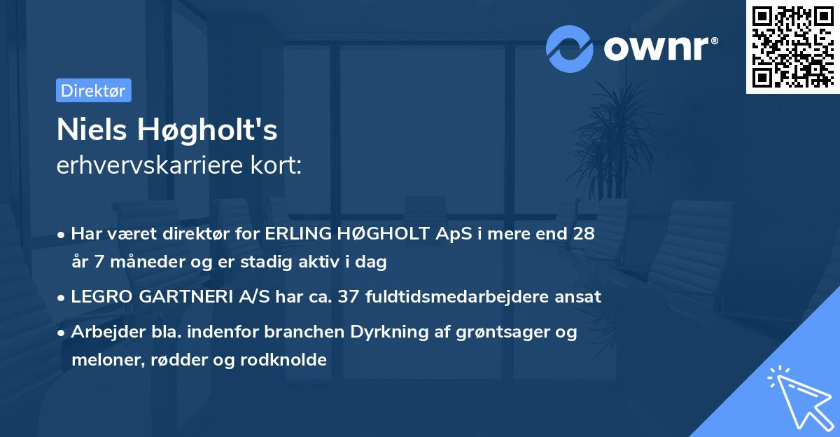 Niels Høgholt's erhvervskarriere kort