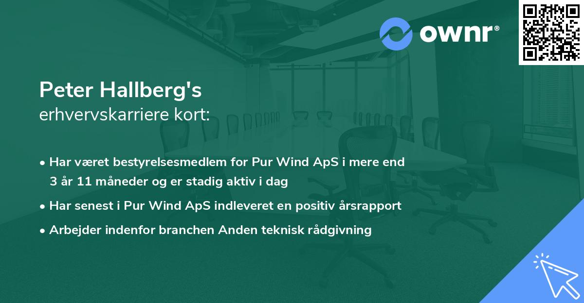 Peter Hallberg's erhvervskarriere kort