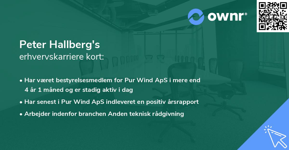 Peter Hallberg's erhvervskarriere kort