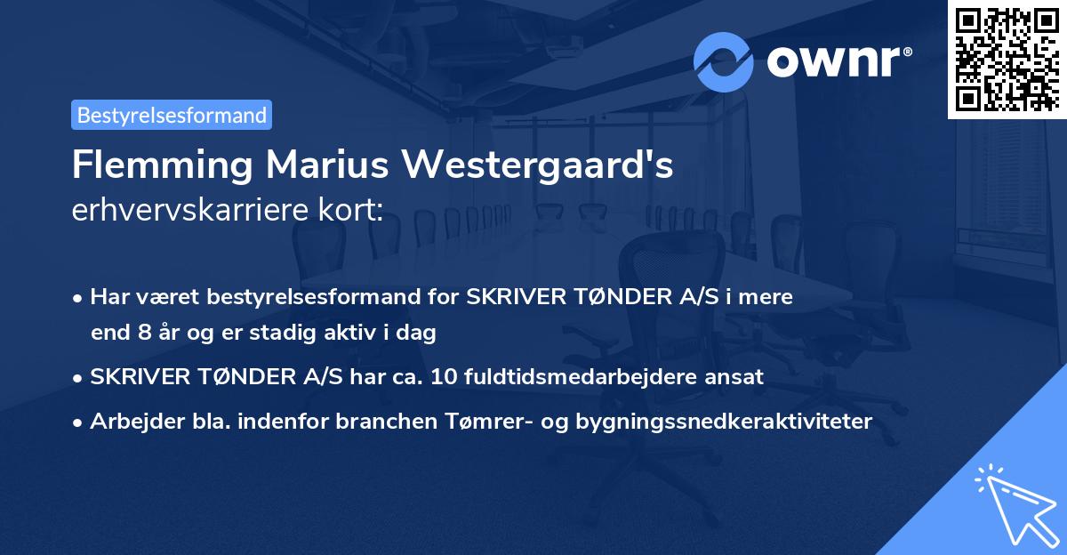 Flemming Marius Westergaard's erhvervskarriere kort