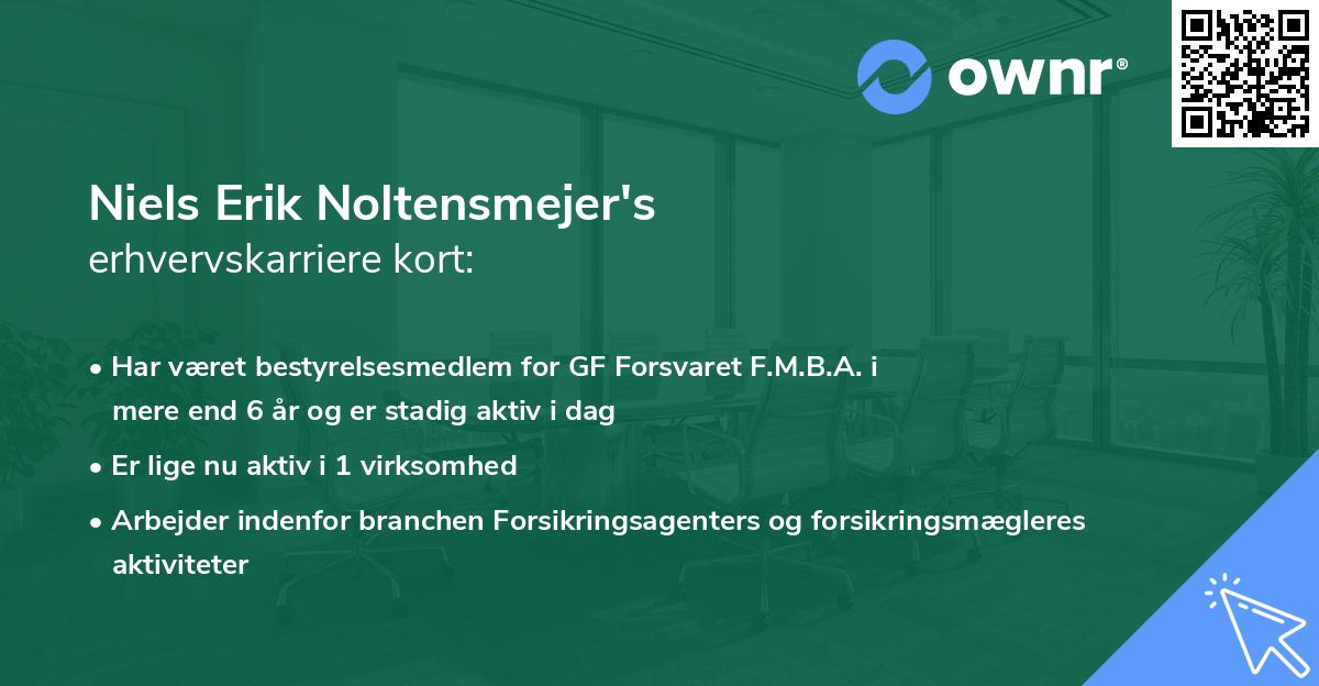 Niels Erik Noltensmejer's erhvervskarriere kort