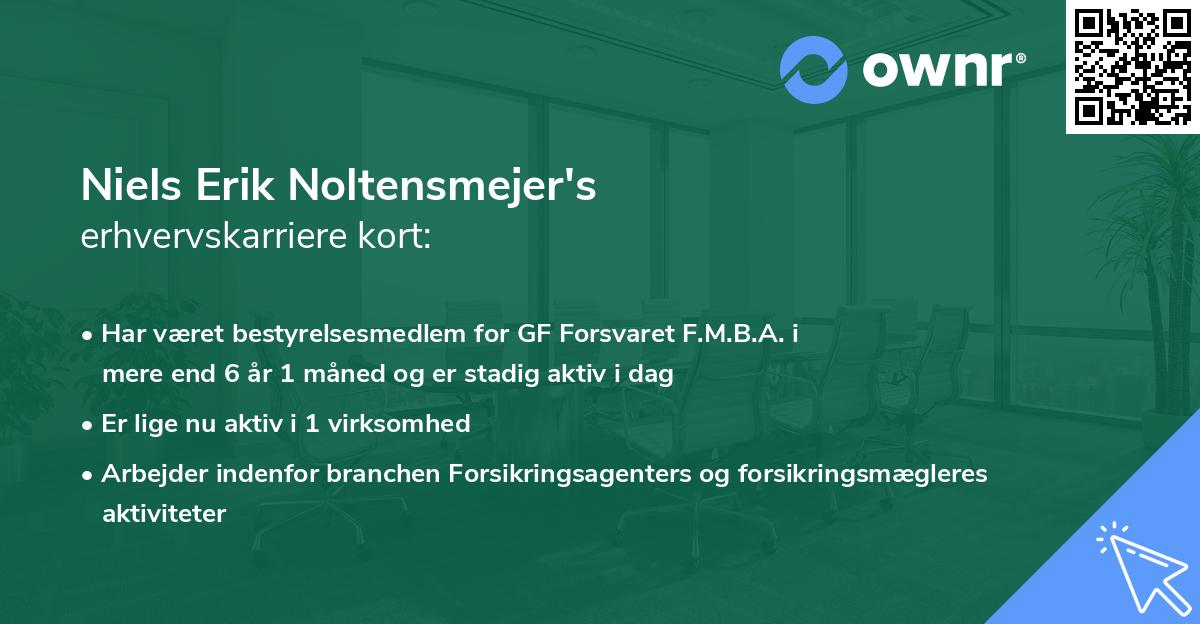 Niels Erik Noltensmejer's erhvervskarriere kort
