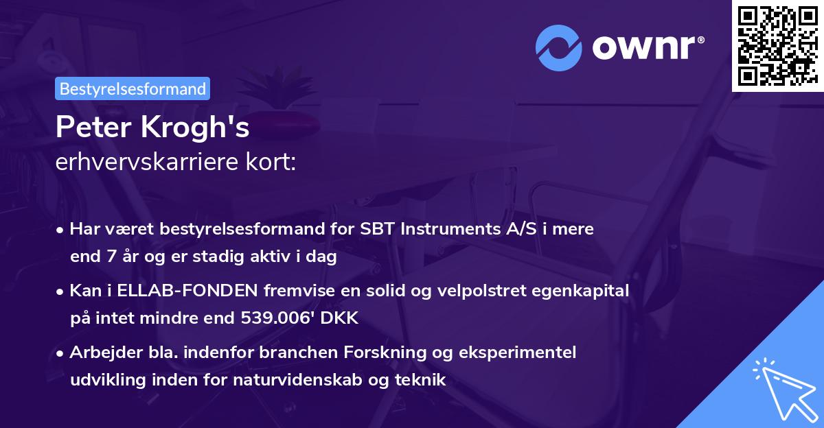 Peter Krogh's erhvervskarriere kort