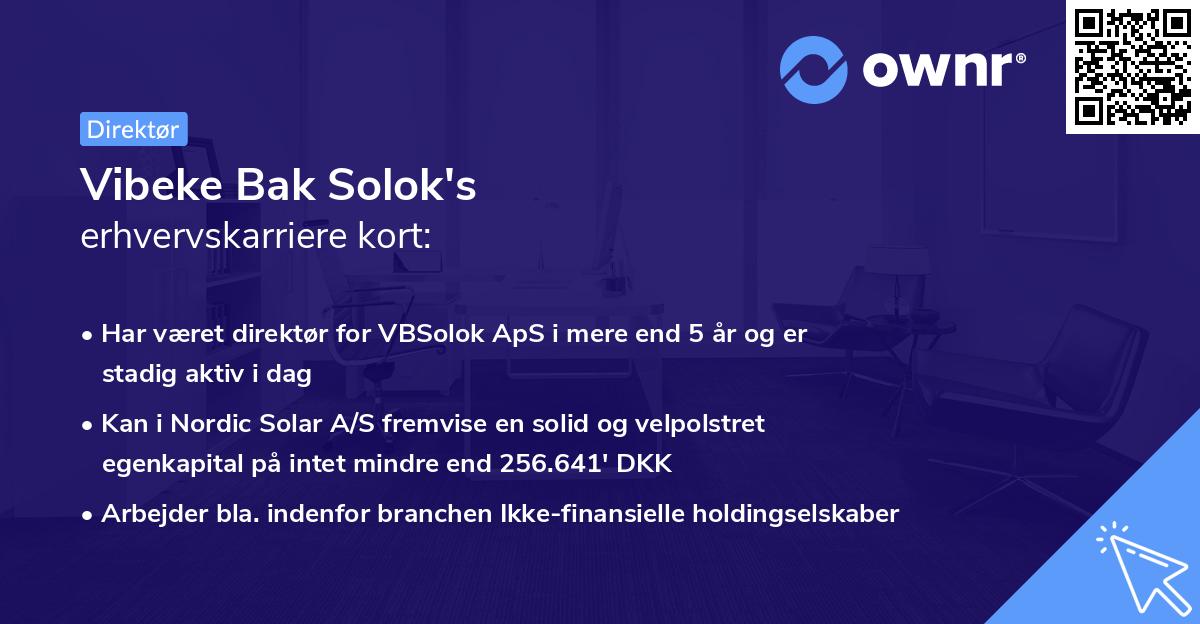 Vibeke Bak Solok's erhvervskarriere kort