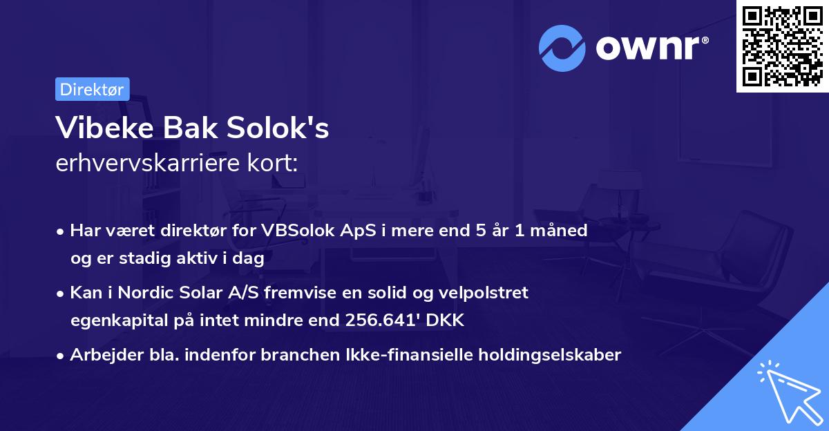 Vibeke Bak Solok's erhvervskarriere kort