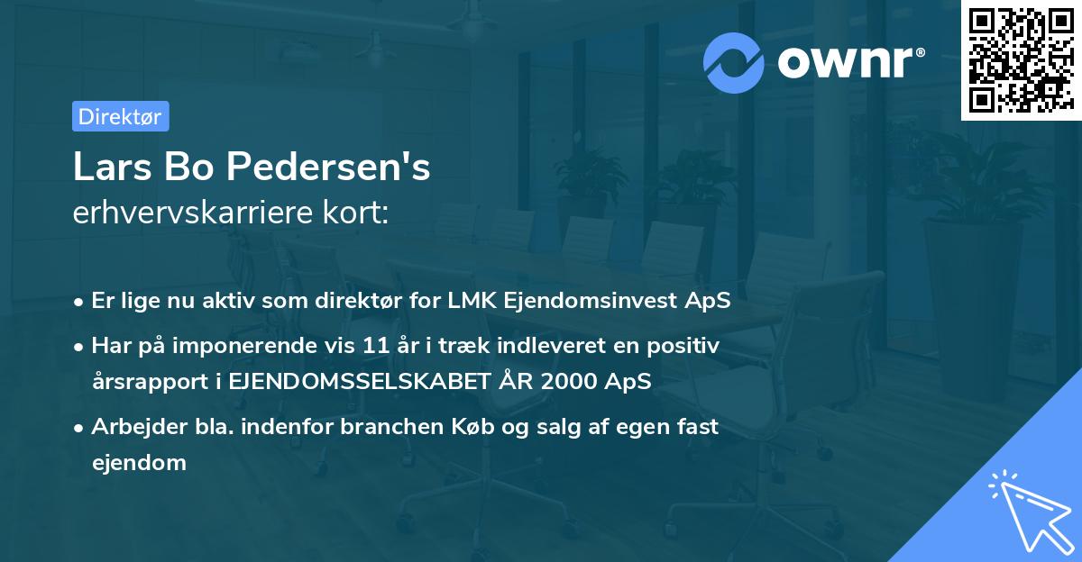 Lars Bo Pedersen's erhvervskarriere kort