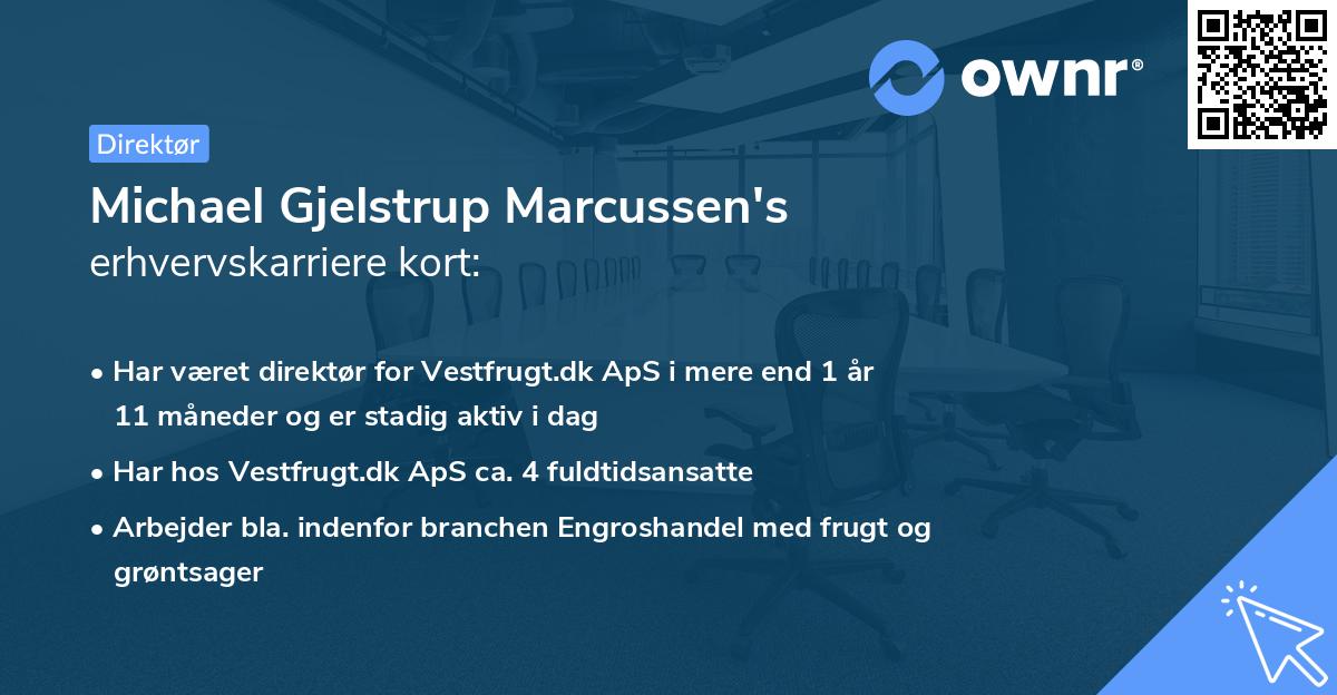 Michael Gjelstrup Marcussen's erhvervskarriere kort