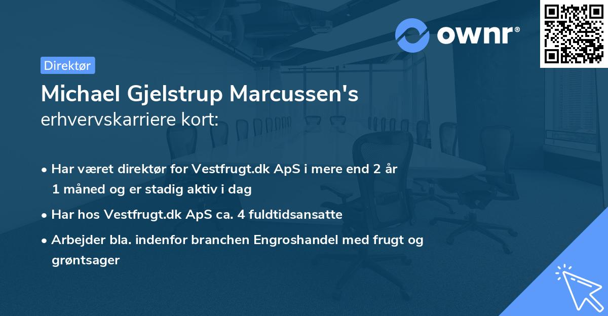 Michael Gjelstrup Marcussen's erhvervskarriere kort