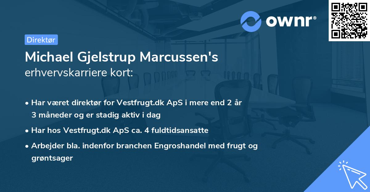 Michael Gjelstrup Marcussen's erhvervskarriere kort