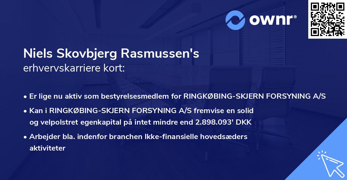 Niels Skovbjerg Rasmussen's erhvervskarriere kort