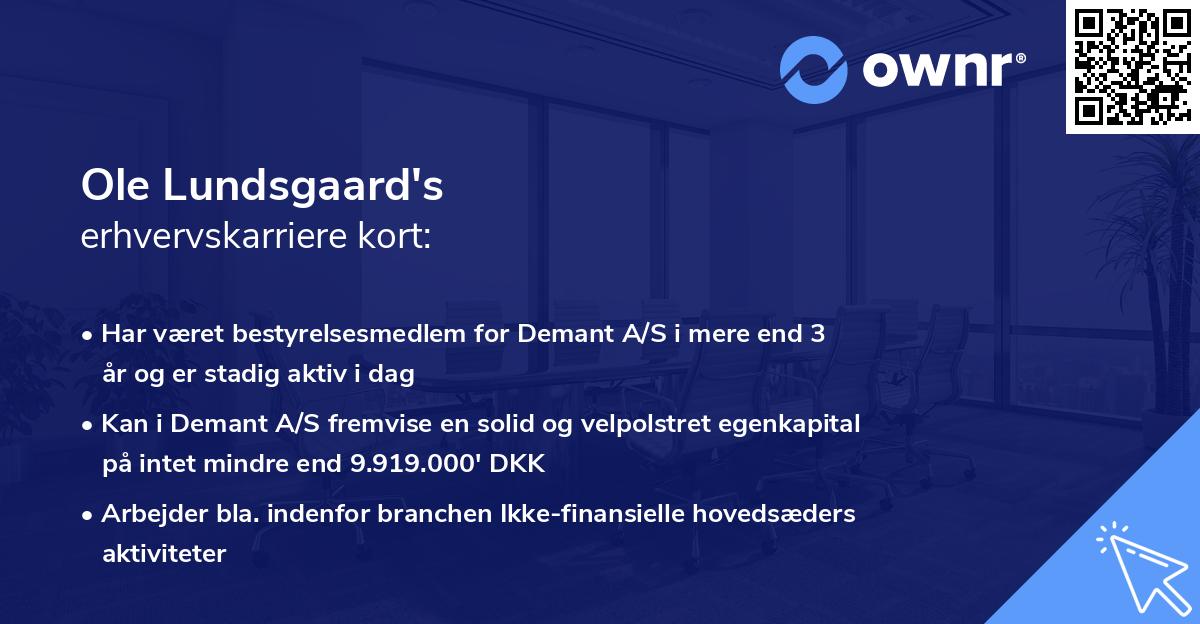 Ole Lundsgaard's erhvervskarriere kort