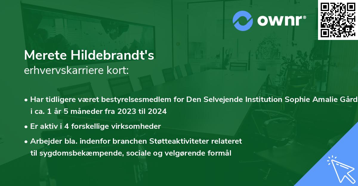 Merete Hildebrandt's erhvervskarriere kort