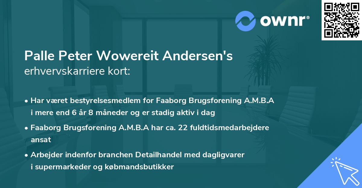 Palle Peter Wowereit Andersen's erhvervskarriere kort