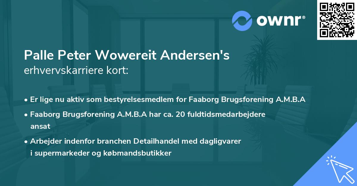 Palle Peter Wowereit Andersen's erhvervskarriere kort