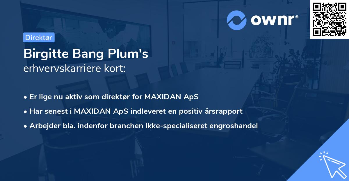 Birgitte Bang Plum's erhvervskarriere kort
