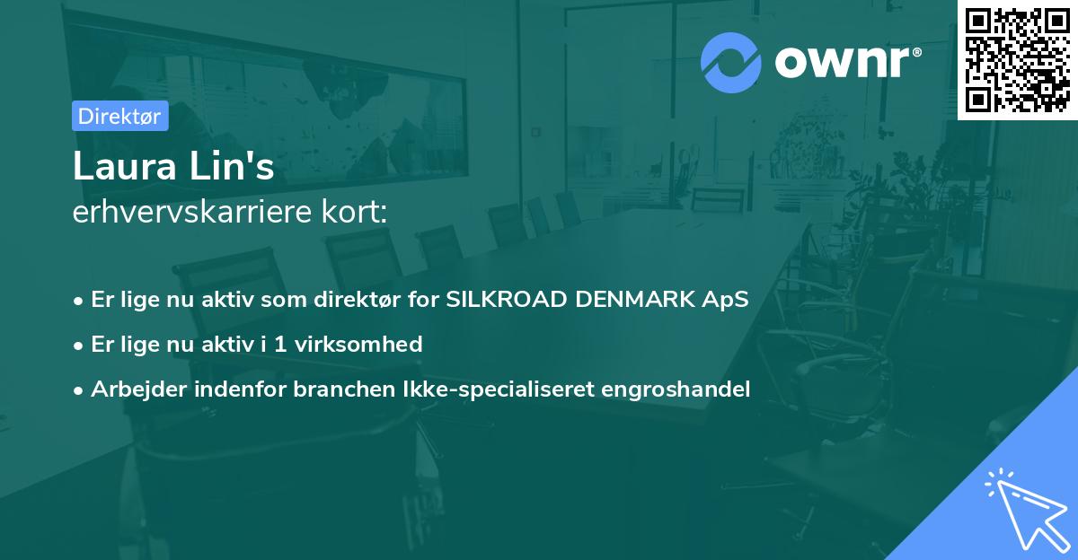 Laura Lin's erhvervskarriere kort