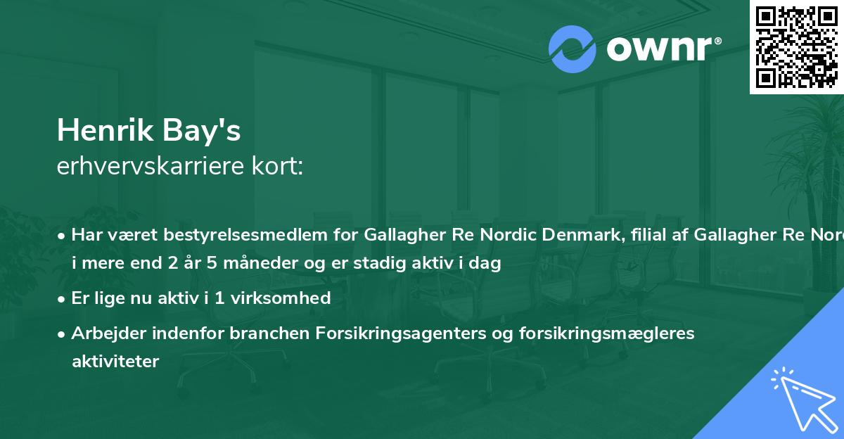 Henrik Bay's erhvervskarriere kort