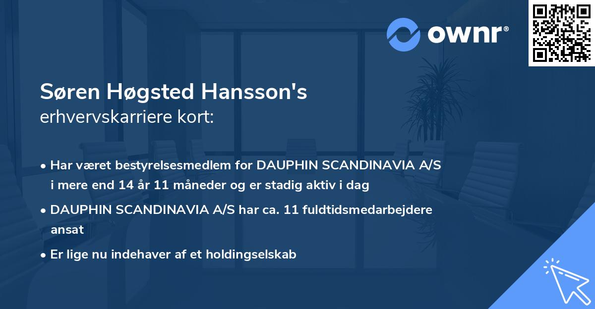 Søren Høgsted Hansson's erhvervskarriere kort
