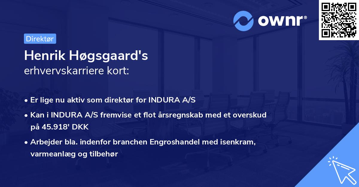 Henrik Høgsgaard's erhvervskarriere kort