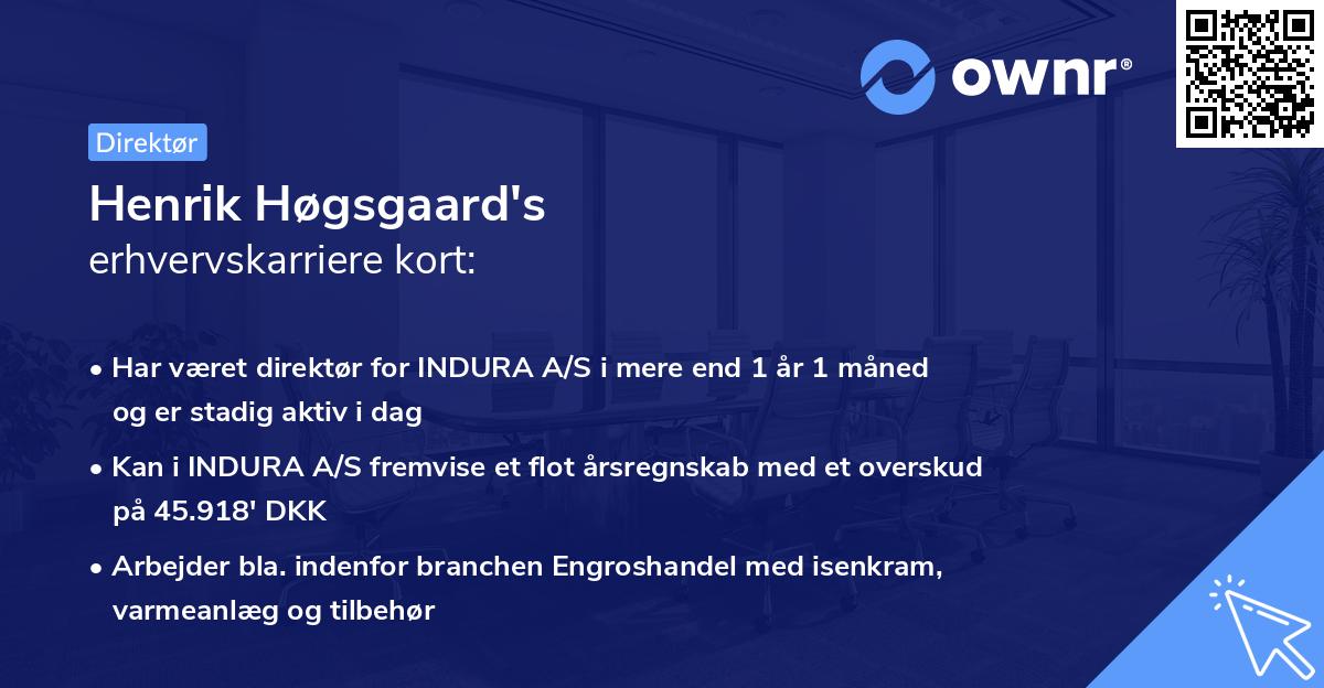Henrik Høgsgaard's erhvervskarriere kort