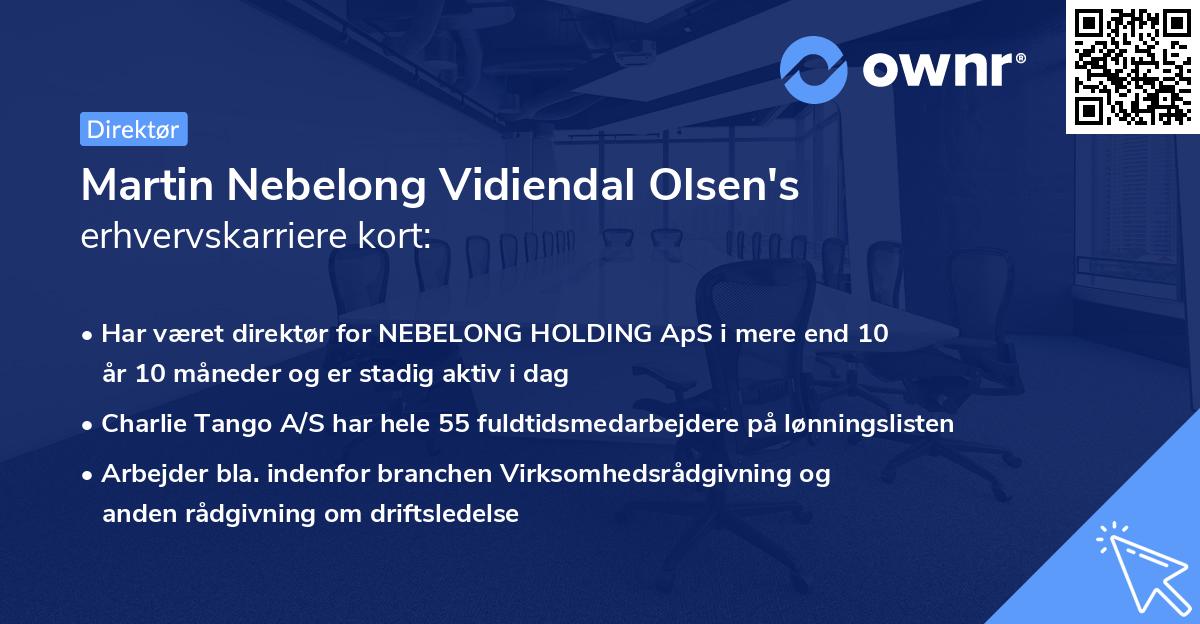 Martin Nebelong Vidiendal Olsen's erhvervskarriere kort