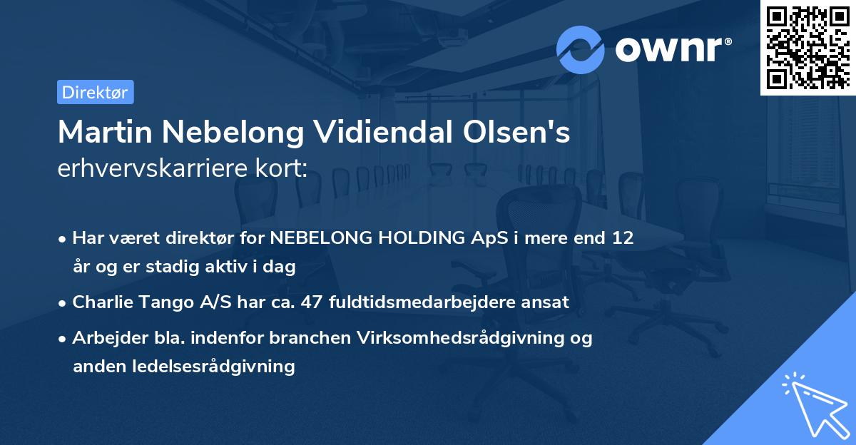 Martin Nebelong Vidiendal Olsen's erhvervskarriere kort