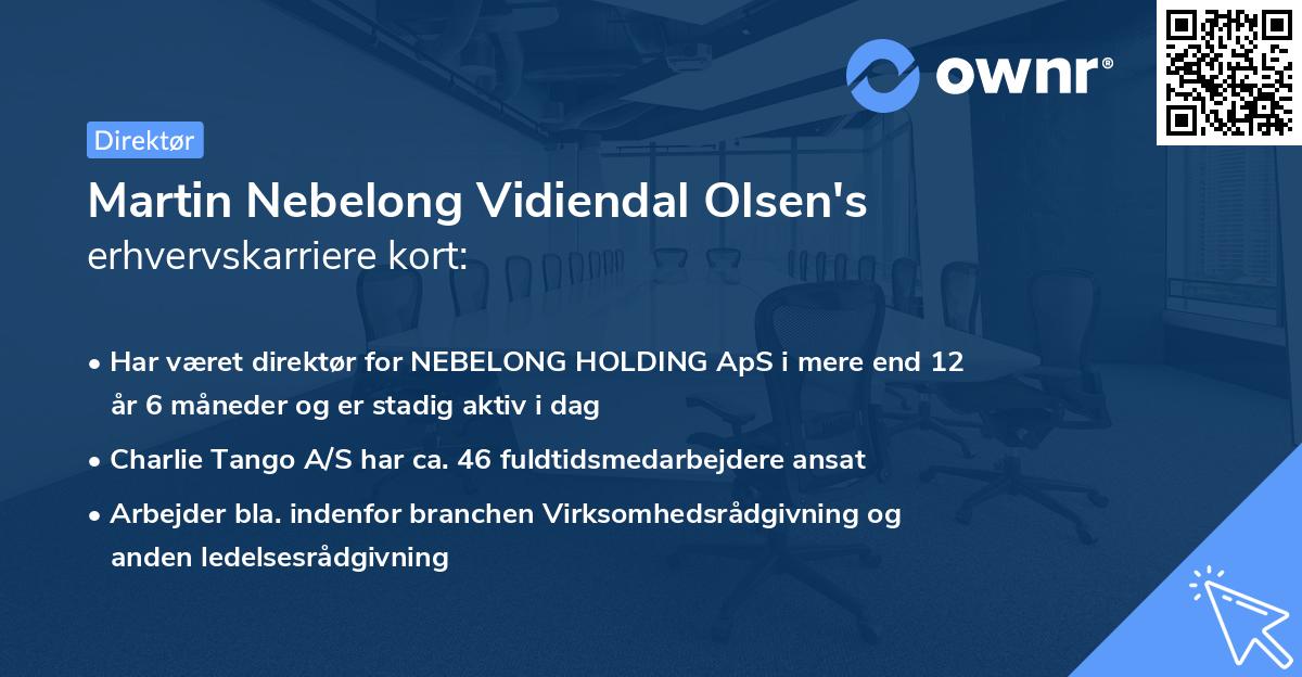 Martin Nebelong Vidiendal Olsen's erhvervskarriere kort