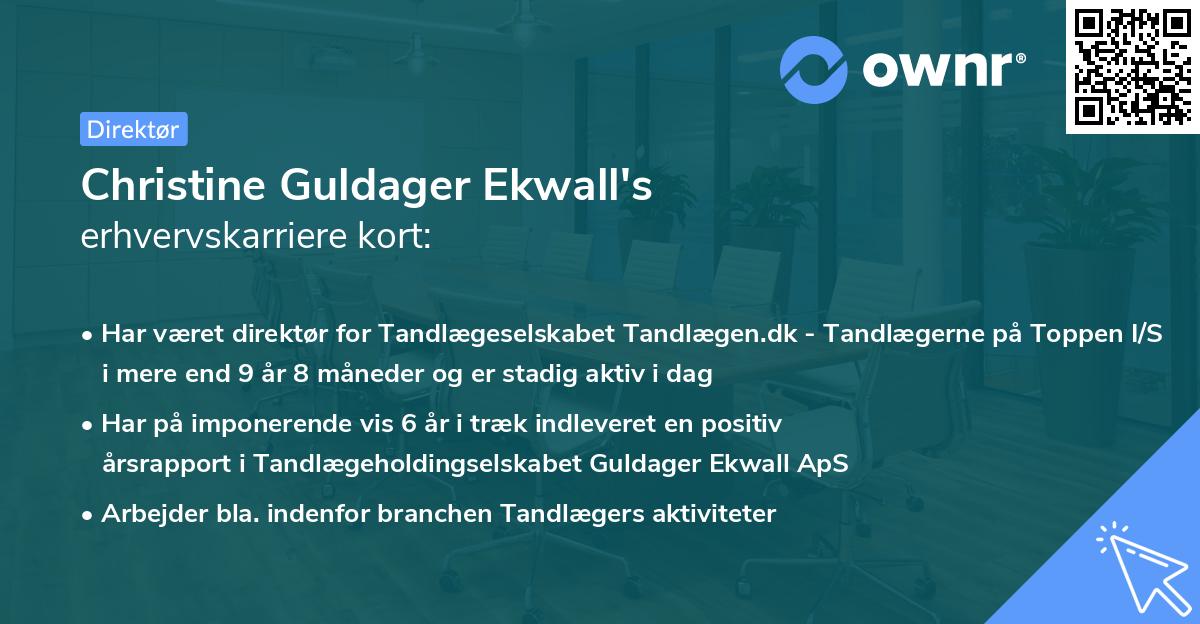 Christine Guldager Ekwall's erhvervskarriere kort