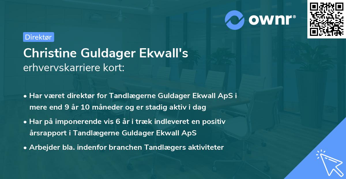 Christine Guldager Ekwall's erhvervskarriere kort